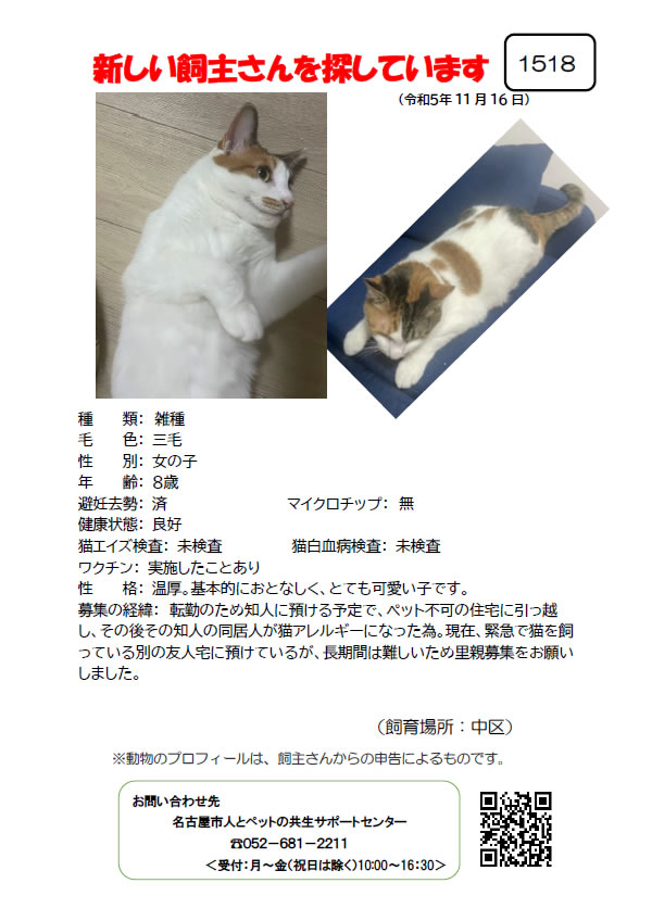 【2】2023年11月16日掲載