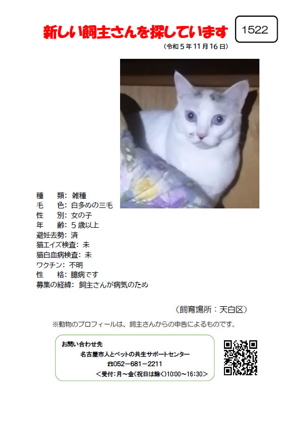 【6】2023年11月16日掲載