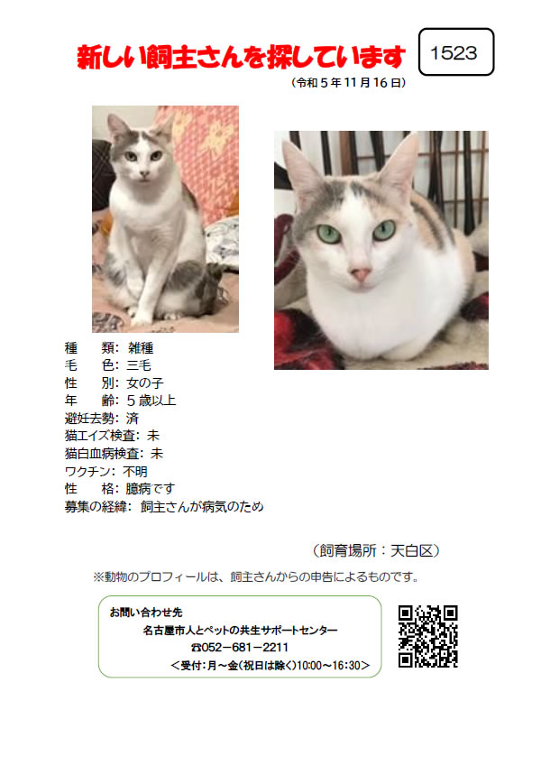 【7】2023年11月16日掲載