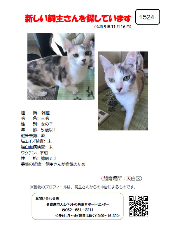 【8】2023年11月16日掲載