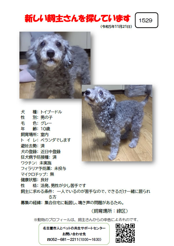 【1】2023年11月22日掲載