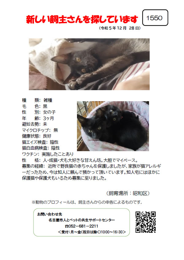 【2】2023年12月28日掲載