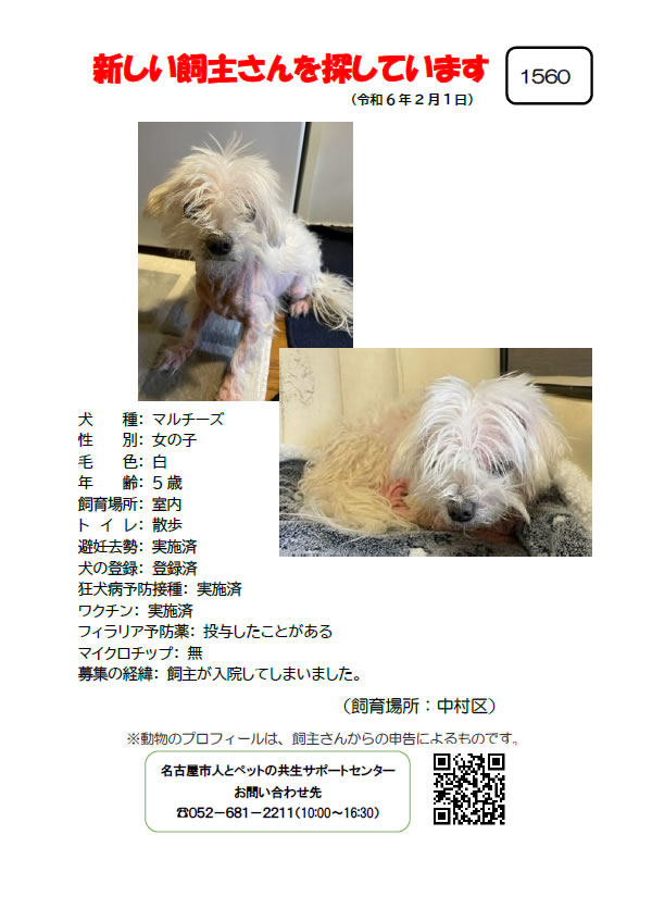 【1】2024年2月1日掲載