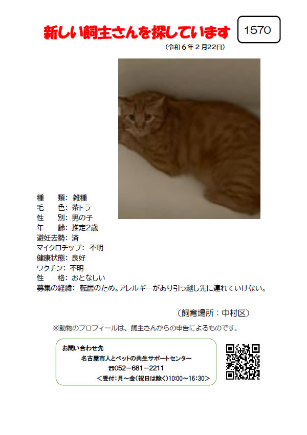 【3】2024年2月22日掲載