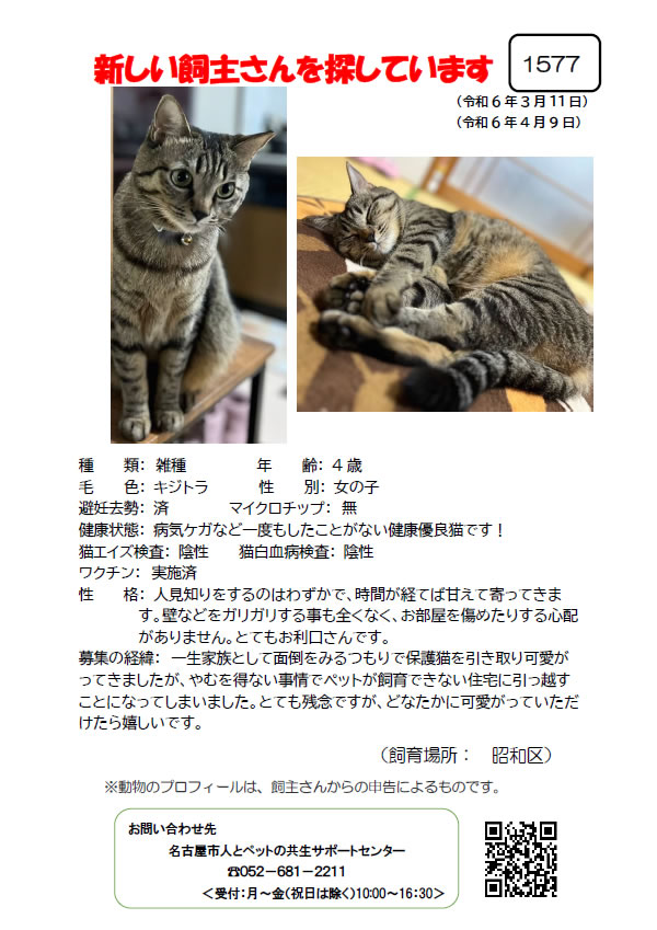 【1】2024年3月11日掲載