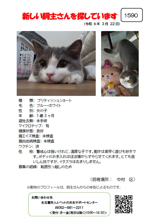 【2】2024年3月25日掲載