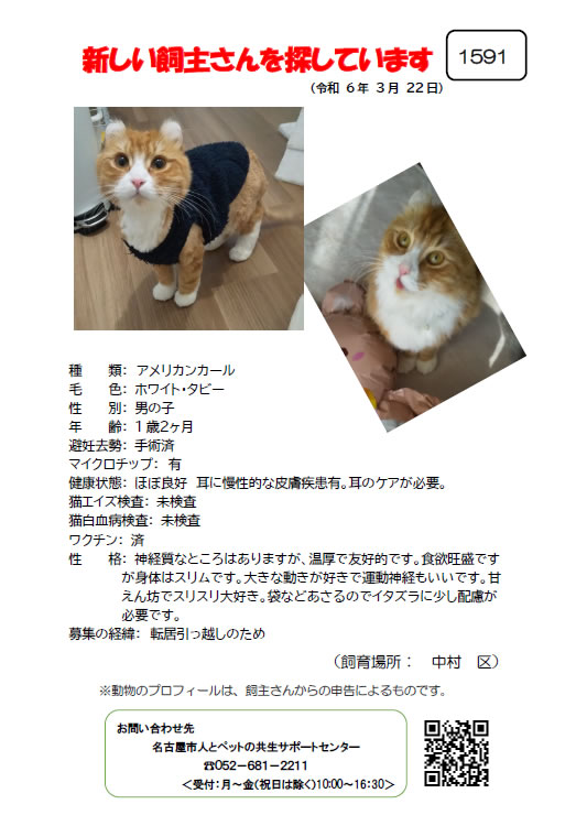 【3】2024年3月25日掲載