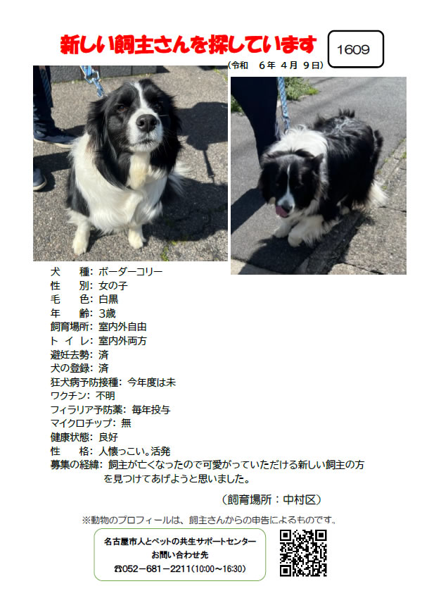 【2】2024年4月9日掲載