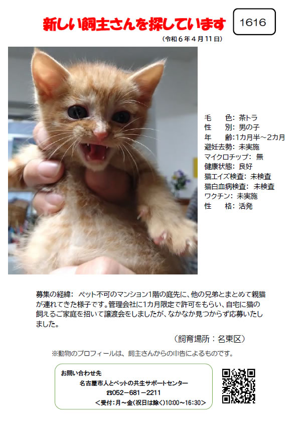 【2】2024年4月11日掲載