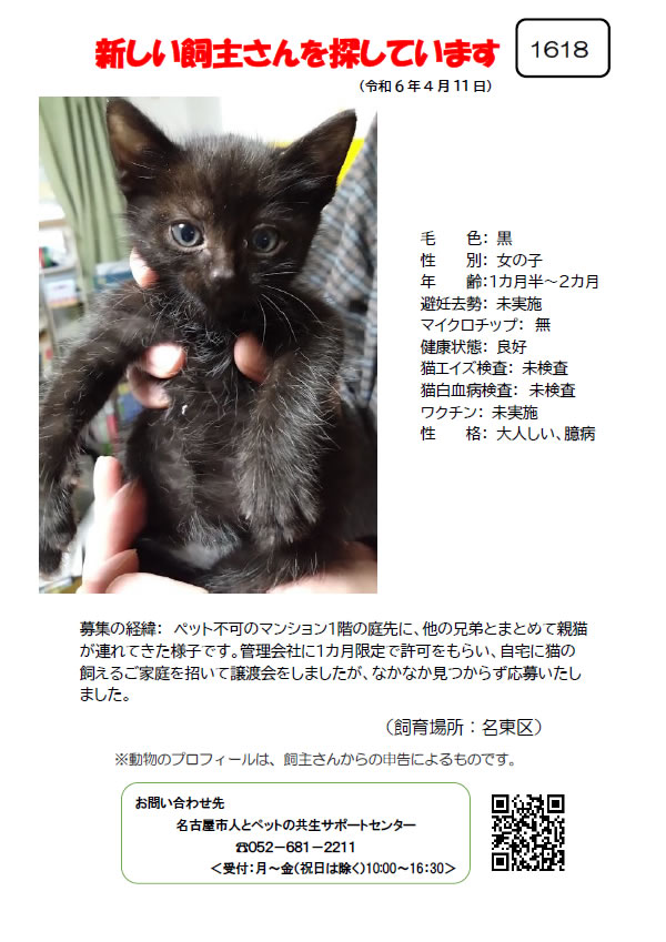 【4】2024年4月11日掲載