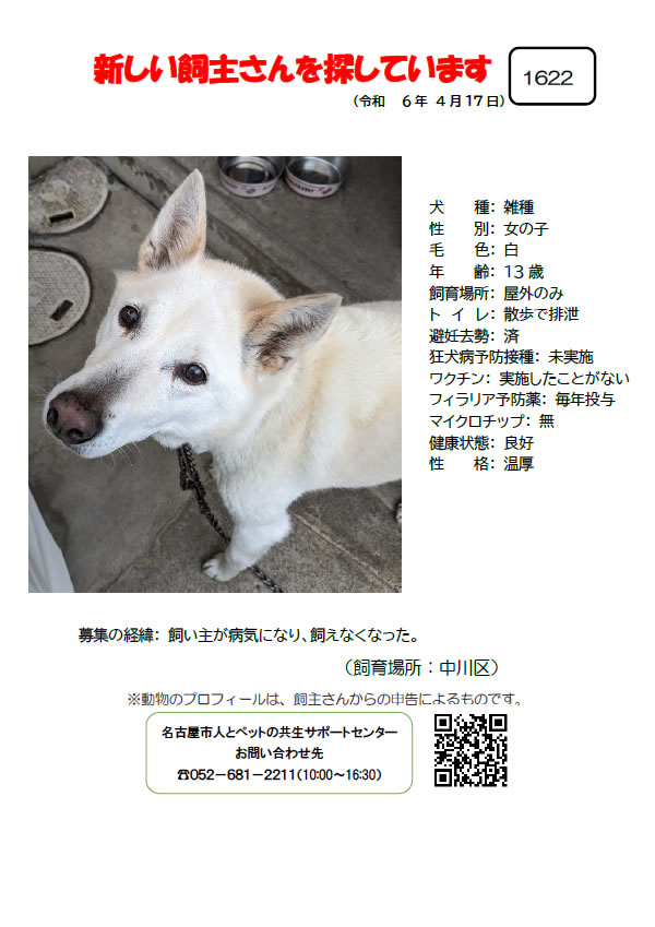 【2】2024年4月17日掲載