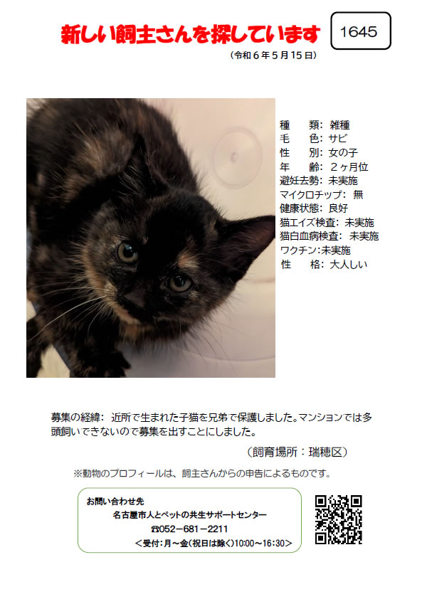 【1】2024年5月15日掲載