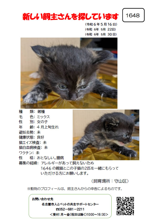 【3】2024年5月16日掲載