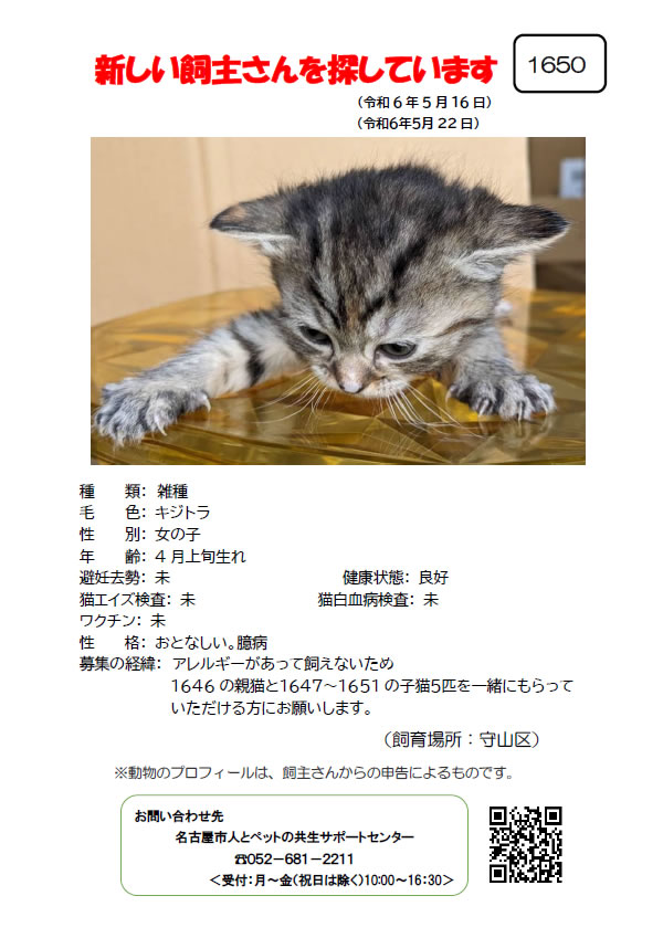 【5】2024年5月16日掲載