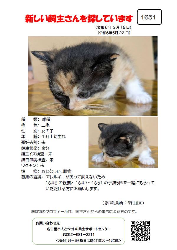 【6】2024年5月16日掲載