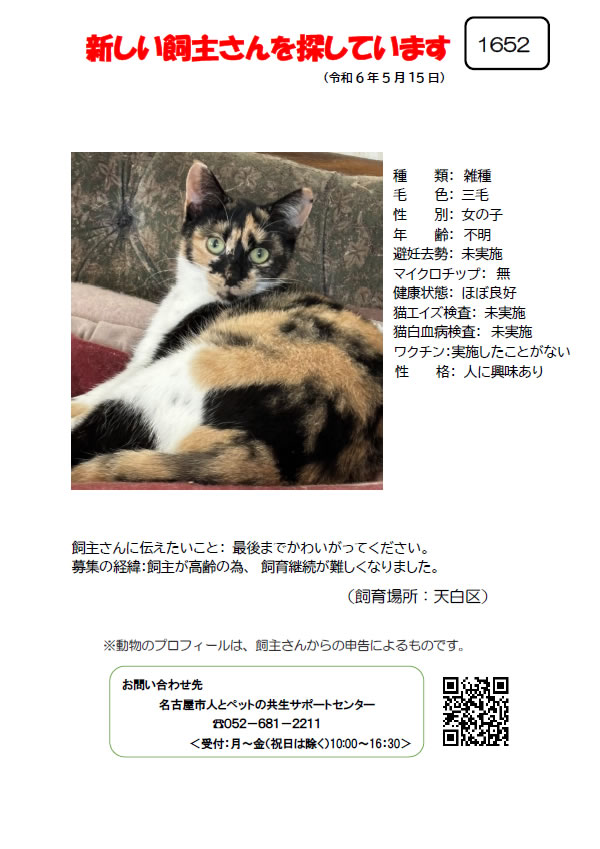 【8】2024年5月16日掲載