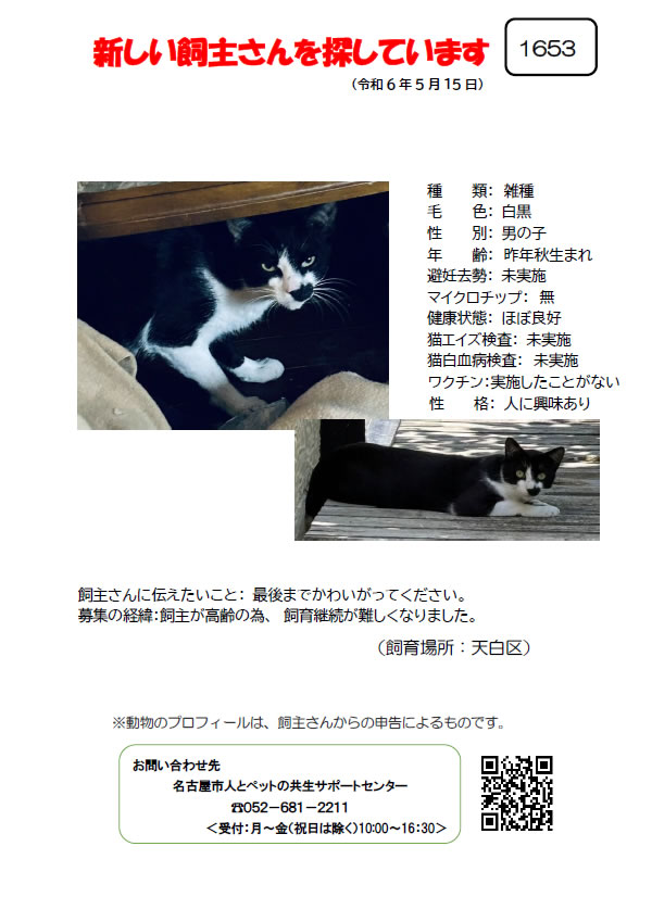 【9】2024年5月16日掲載