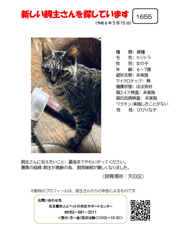 【11】2024年5月16日掲載