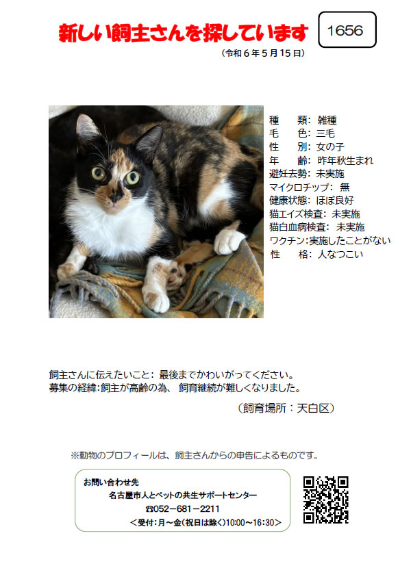 【12】2024年5月16日掲載