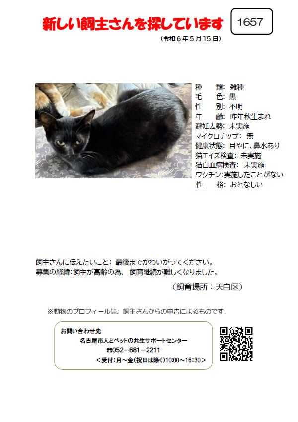 【13】2024年5月16日掲載