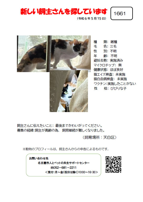 【17】2024年5月16日掲載