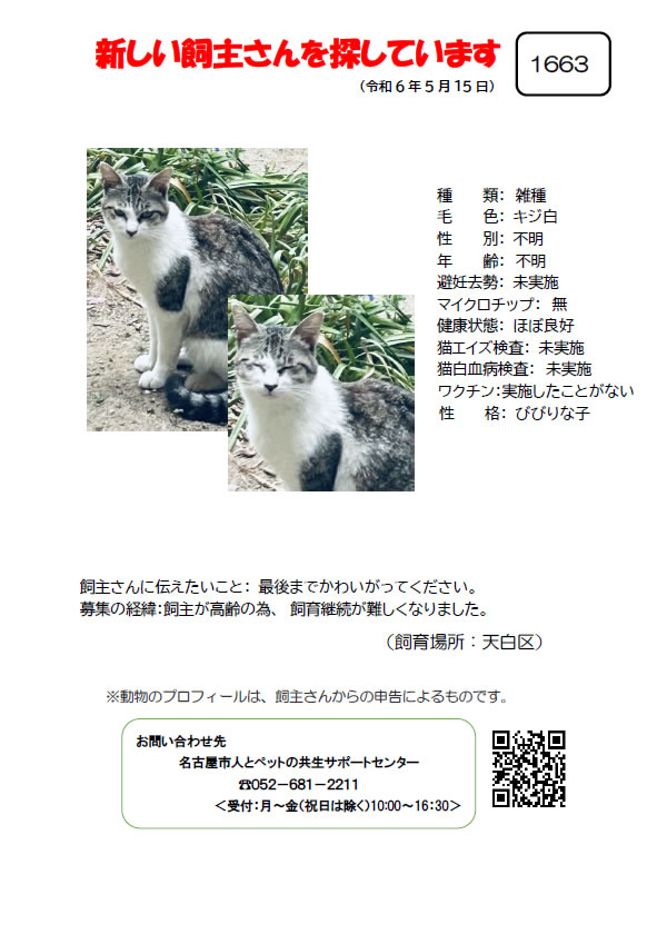 【19】2024年5月16日掲載