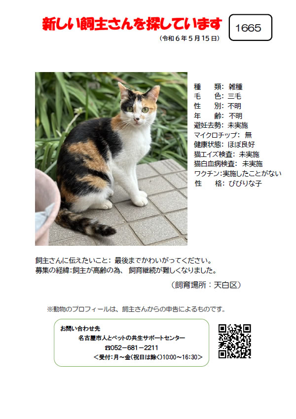 【21】2024年5月16日掲載