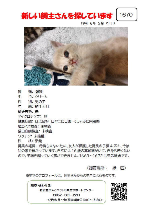 【2】2024年5月21日掲載