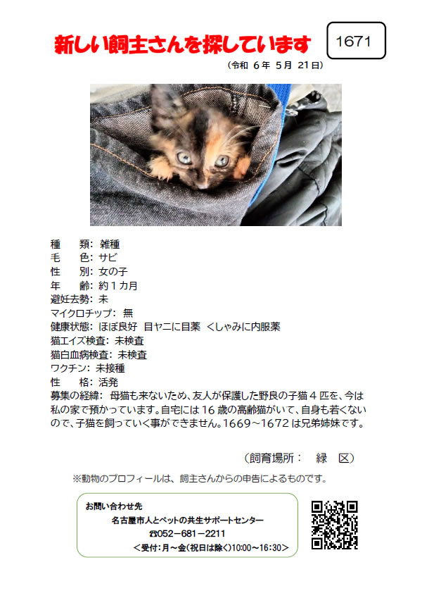 【3】2024年5月21日掲載