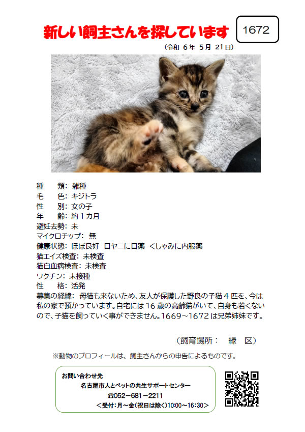 【4】2024年5月21日掲載