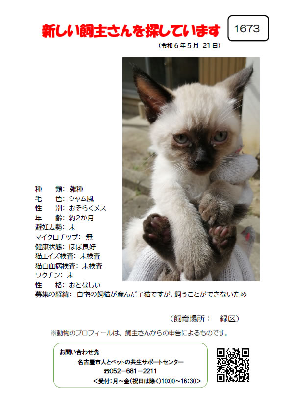 【5】2024年5月21日掲載