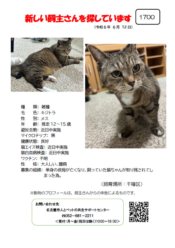 【1】2024年6月12日掲載