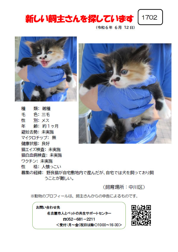 【3】2024年6月12日掲載