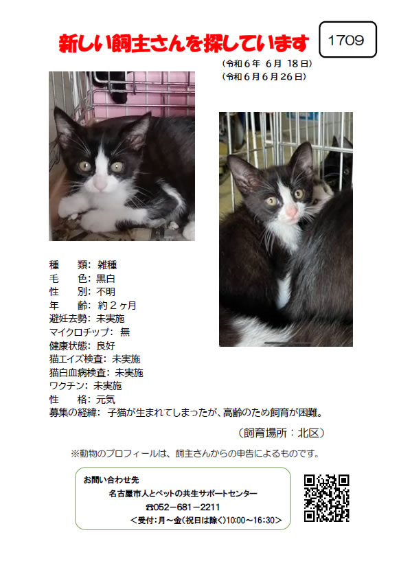 【3】2024年6月18日掲載