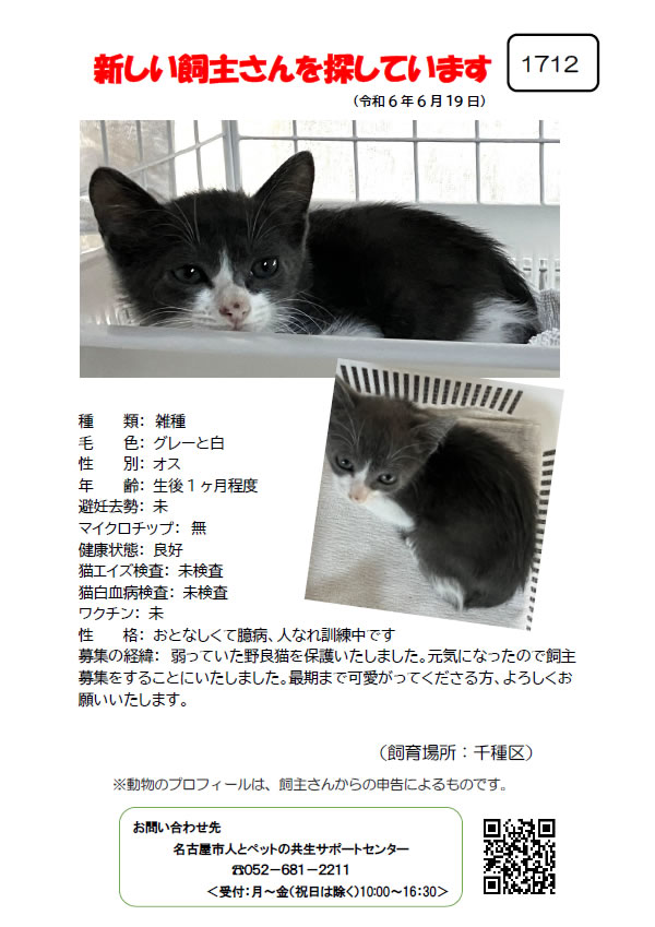 【1】2024年6月19日掲載