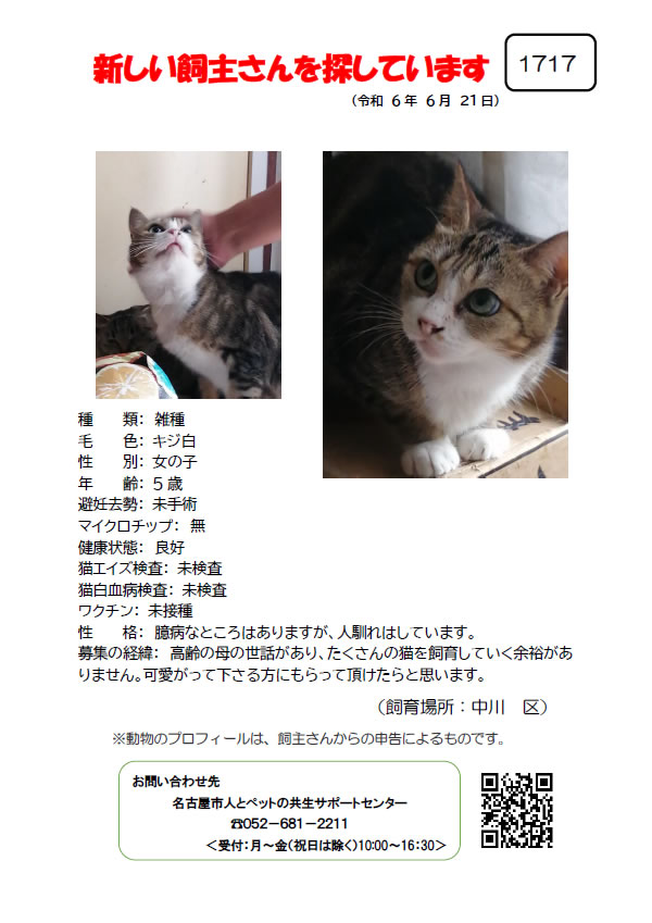 【3】2024年6月21日掲載