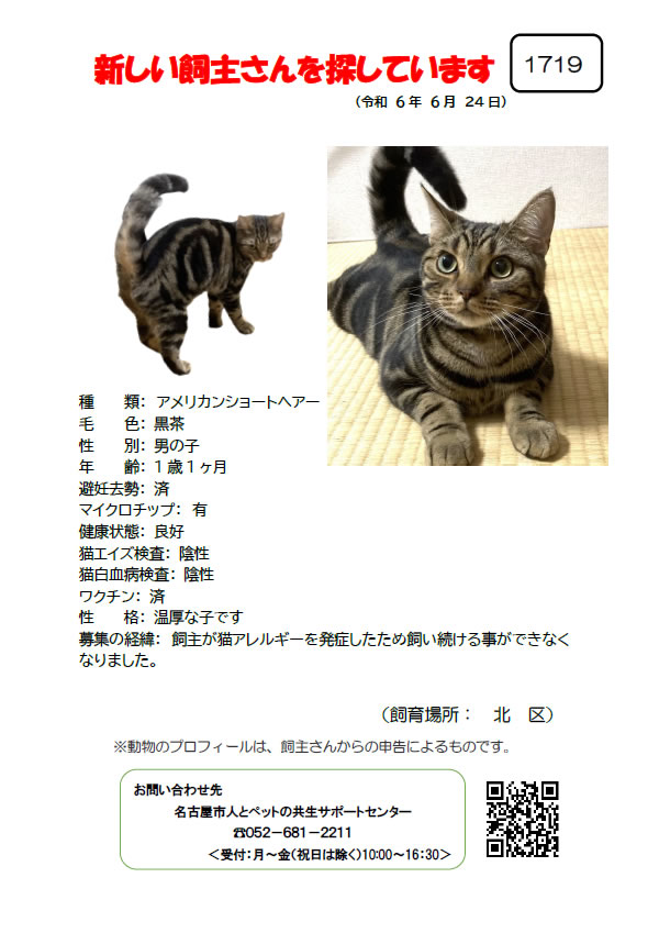 【1】2024年6月24日掲載