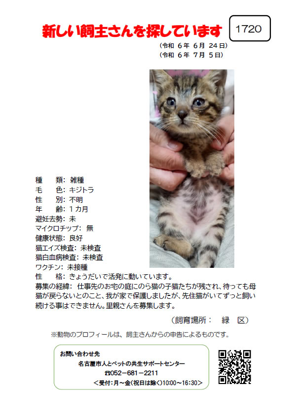 【2】2024年6月24日掲載