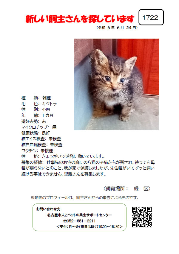 【4】2024年6月24日掲載