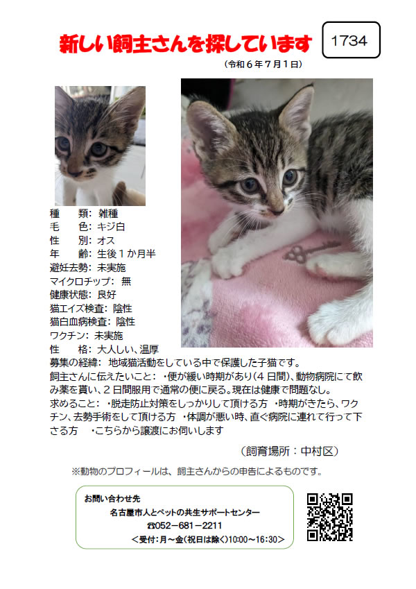 【1】2024年7月1日掲載