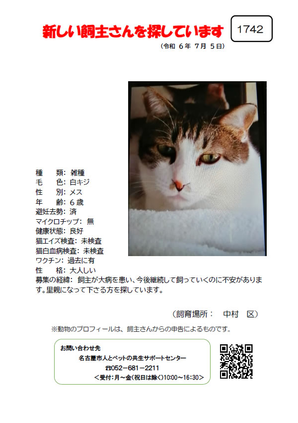 【5】2024年7月5日掲載