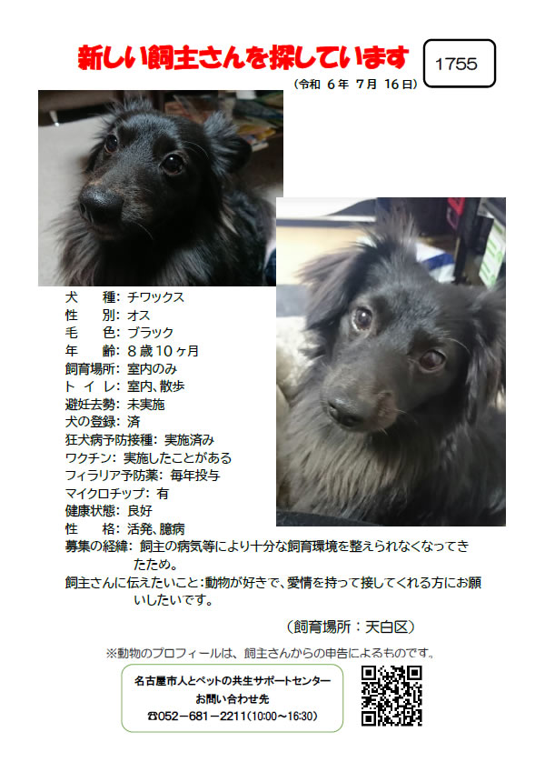 【2】2024年7月16日掲載