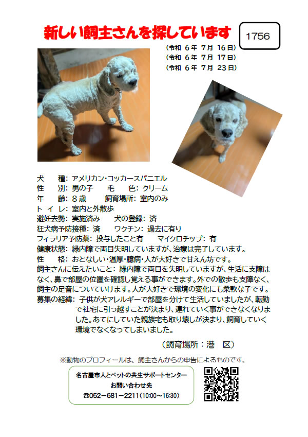 【3】2024年7月16日掲載