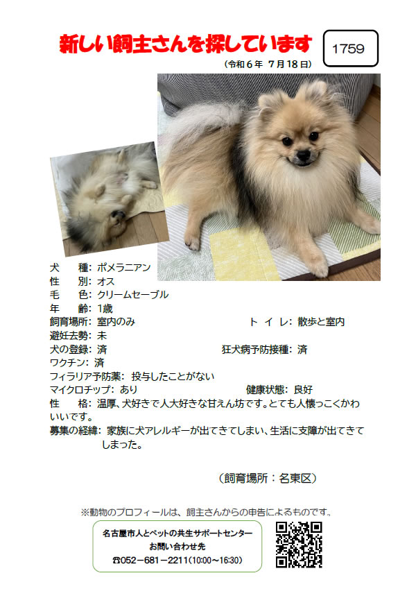 【1】2024年7月18日掲載