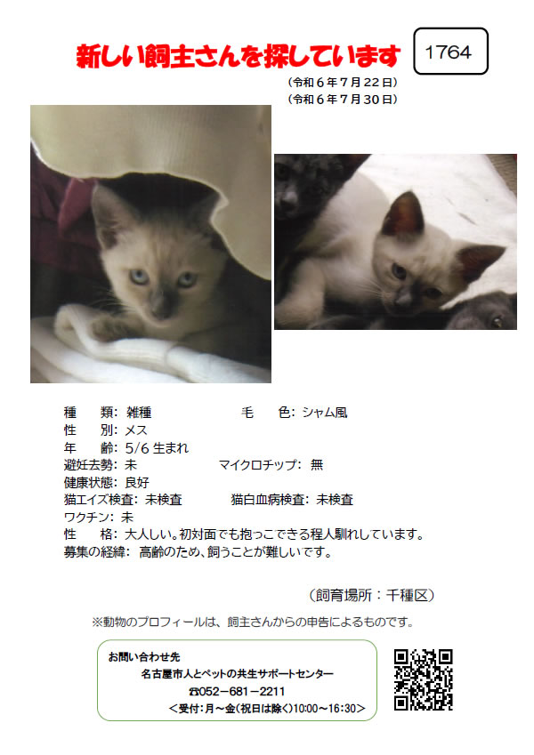 【4】2024年7月22日掲載