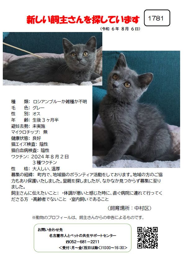 【1】2024年8月6日掲載