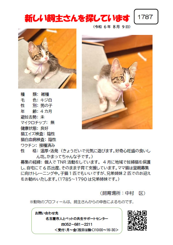 【3】2024年8月9日掲載