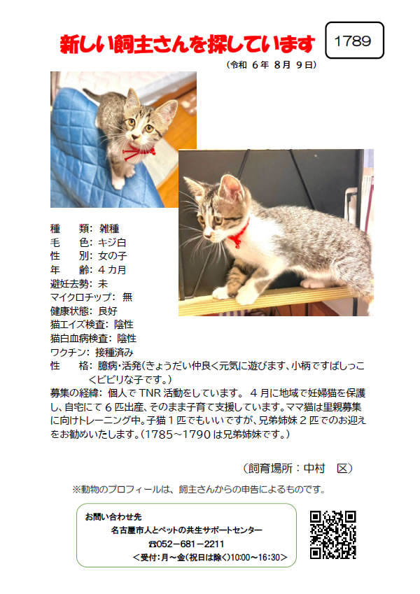 【5】2024年8月9日掲載