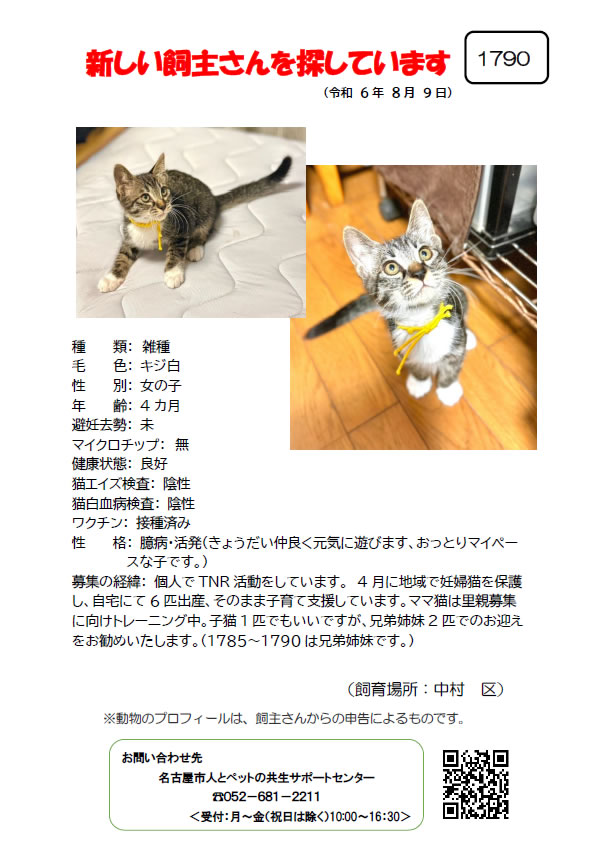 【6】2024年8月9日掲載