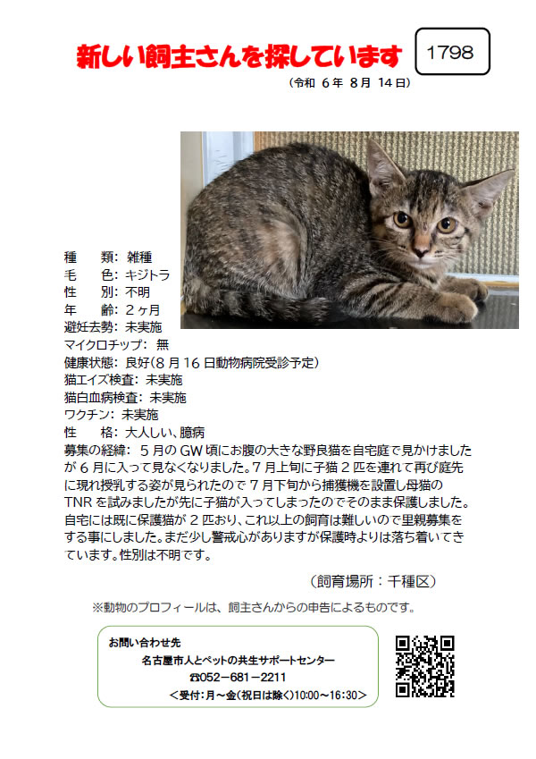 【3】2024年8月14日掲載